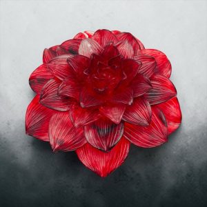 Pivoine sur  socle lumineux